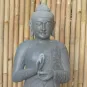 morepic-2